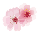 single flower transparent.png