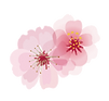 single flower transparent.png