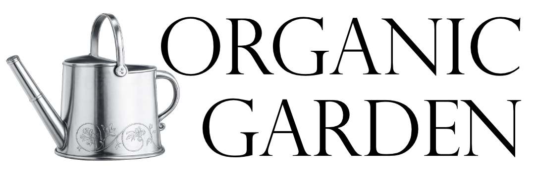 logo_original_OG.webp