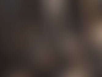 Acquérir une arme à feu en France