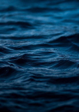 imleedh-ali-Uf-_p8zZiT8-unsplash.jpg