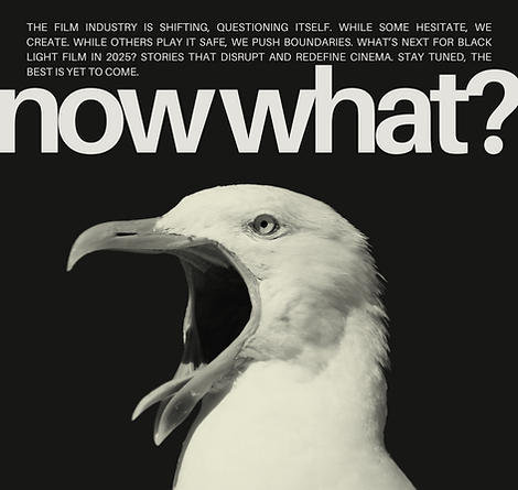 Black and white image of a bird with the text 'Now What?' symbolizing a moment of reflection or decision.