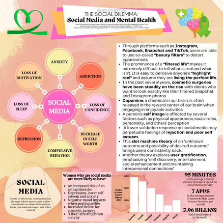 Social Media and Mental Health