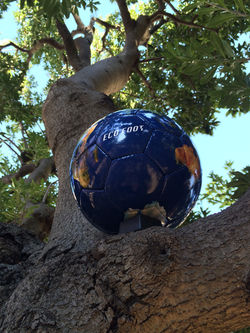 SFIDA       ECO FOOT