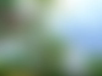 Tạm biệt Tipi – Xin chào Opera: Nâng tầm trải nghiệm glamping tại Panorama Glamping