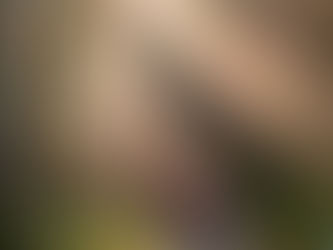 Trẻ cần thiên nhiên – như cây cần nắng