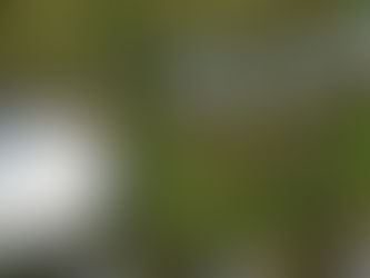 3 trụ cột tạo nên một cuộc sống hạnh phúc trọn vẹn – Và một nơi giúp bạn nuôi dưỡng cả ba