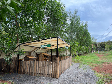 'Khối nghỉ hè gặp khối nghỉ hưu' – 5 nguyên tắc an toàn khi vui chơi ngoài trời & gợi ý không gian nghỉ dưỡng phù hợp cho cả gia đình