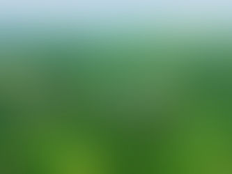 Cuối tuần đi đâu gần Sài Gòn? Panorama Glamping cho cả nhà đều vui