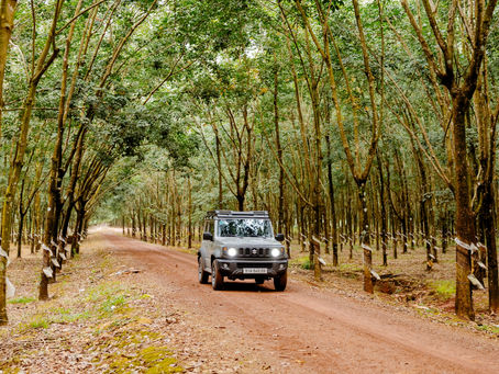 Du lịch mùa lễ hội – Gần thành phố, tránh khói bụi, tận hưởng không khí trong lành