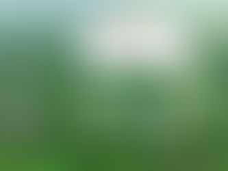 “Tự thú” của khách: "Tôi từng nghĩ cắm trại là bất tiện… cho tới khi đến Panorama Glamping"