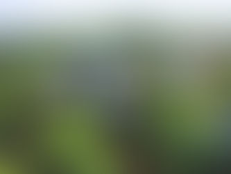 Kinh nghiệm du lịch mùa mưa – Cập nhật thời tiết hôm nay & gợi ý chuyến đi gần gũi thiên nhiên