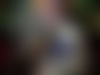 Uma reformadora fora da Reforma