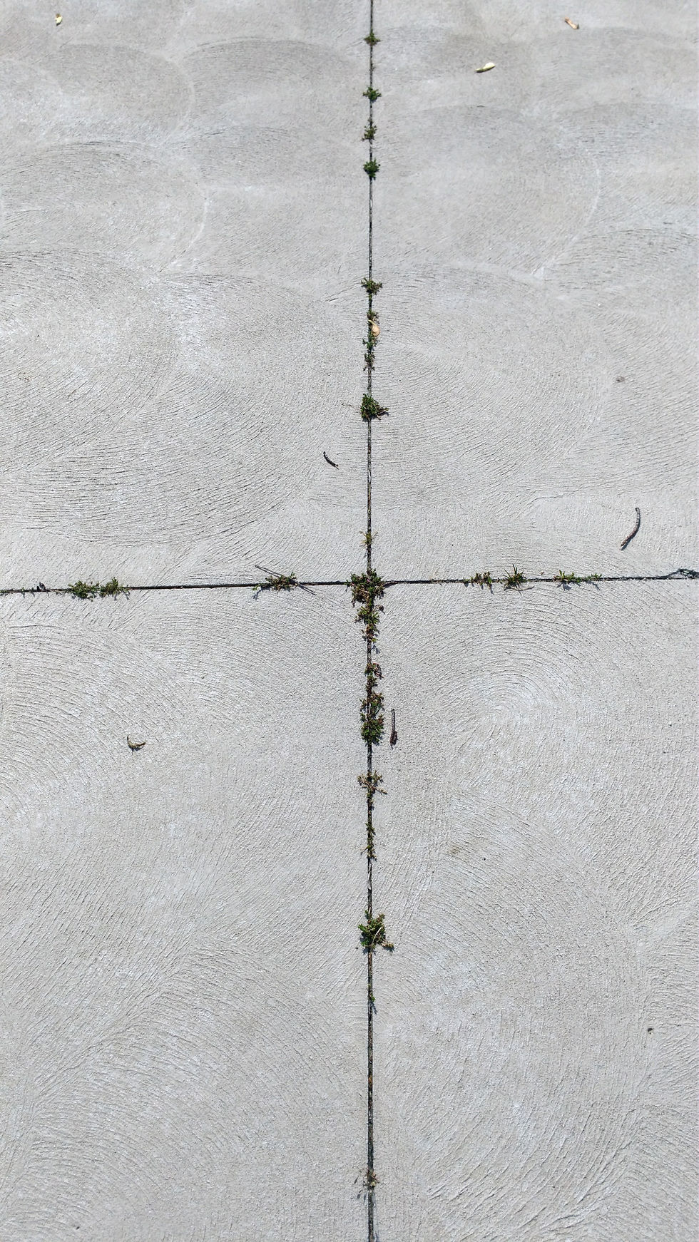 Concrete saw-cuts before gasket