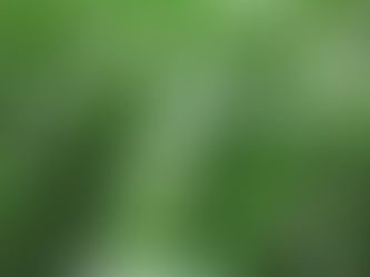 Comparing DIY Travel Planning vs. Professional Services