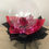 Μικρογραφία: Rose in a Twinkling Balloon