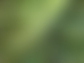 Cardrona Christmas Event