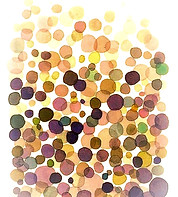 bulles_edited_edited.jpg