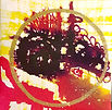 20220607_234358.jpg