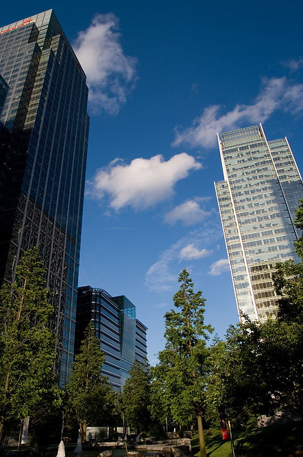 Financial District