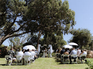 Pet Friendly Weddings in Perth: How to Include Your Furry Family