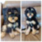 coco.jpg