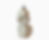 Miniature : Caniche blanc