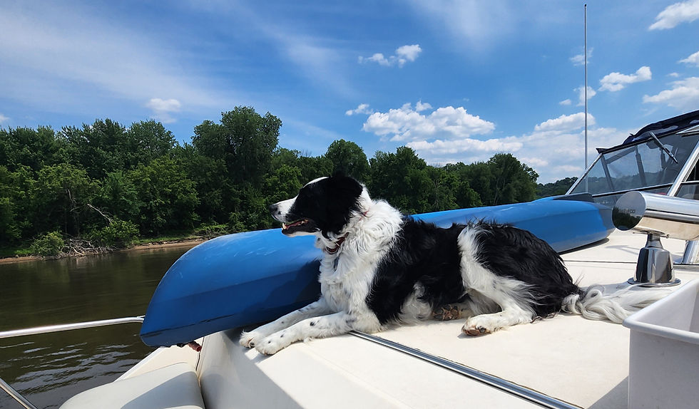 Boat Dog!