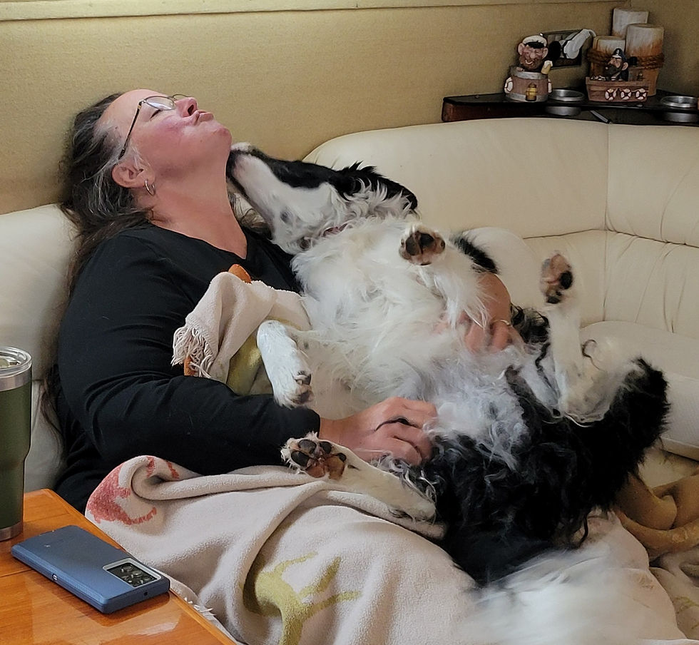 Mom! I caughted a rabbitt!