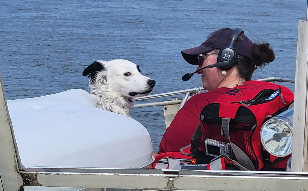 Biscuit isn't too sure about the guy driving the boat.