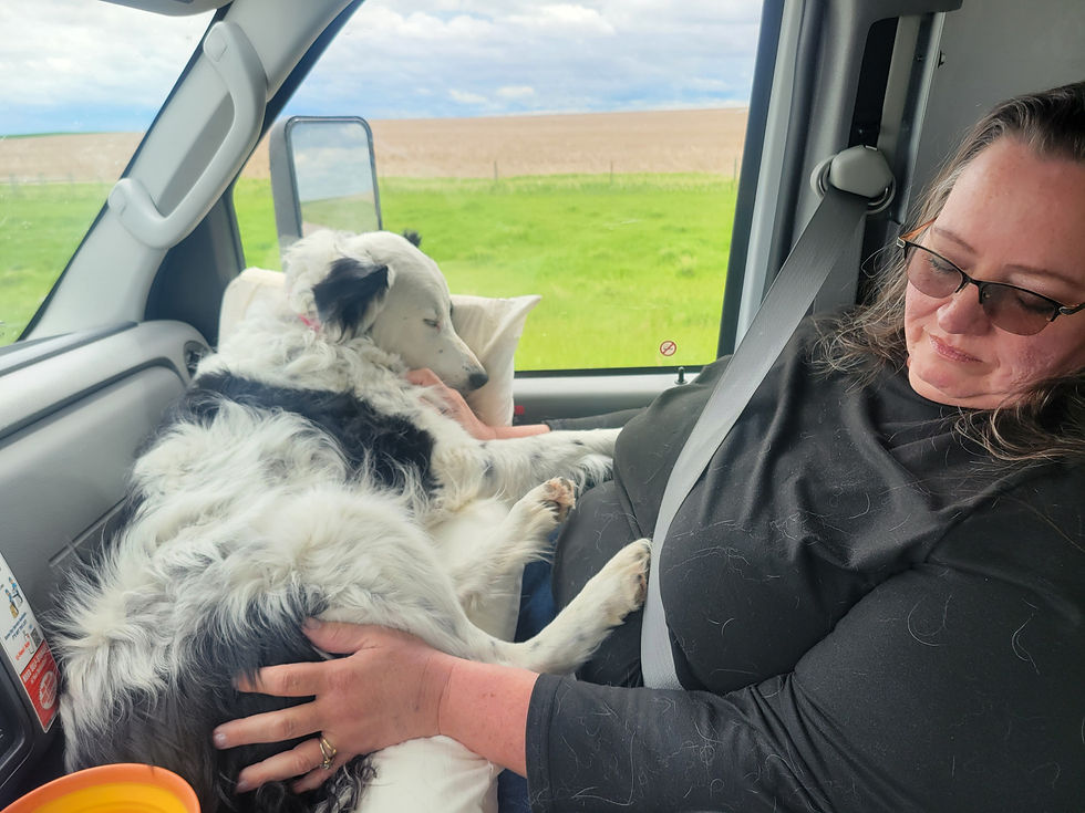 This is not photoshopped or anything. They slept like this for an hour.
