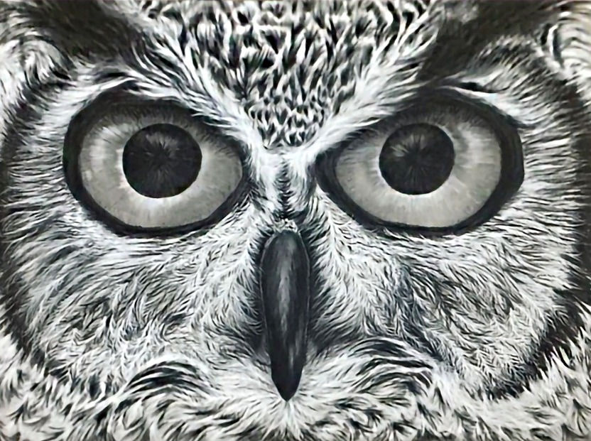 Seeing You