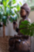 Yogar_novas_2023-11.jpg
