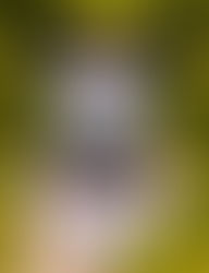 Kuromi Amigurumi Pattern