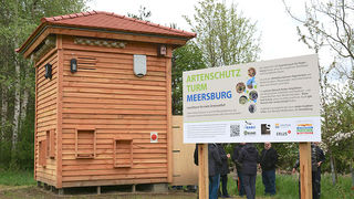 Holzbau-Schmäh baut und sponsert Artenschutz-Turm