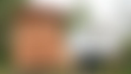 Holzbau-Schmäh baut und sponsert Artenschutz-Turm