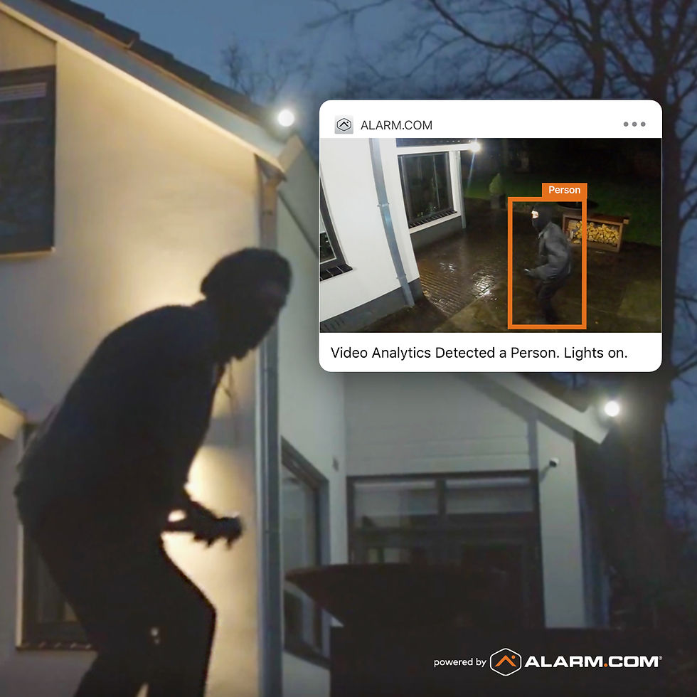 Protect Your Ride: Homeowner's Guide to Preventing Car Theft