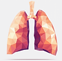 lung.png