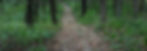 Nearby Trails