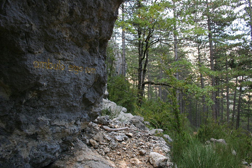 "ambulo ergo sum", phrase en latin de Pierre Gassendi directement gravée et dorée in situ dans la pierre par l'artiste moderne herman de vries, Alpes-de-Haute-Provence (France). "Ambulo Ergo Sum", Latin phrase of Pierre Gassendi directly engraved and golden in situ in the stone by the modern artist Herman de Vries, Alpes-de-Haute-Provence (France).