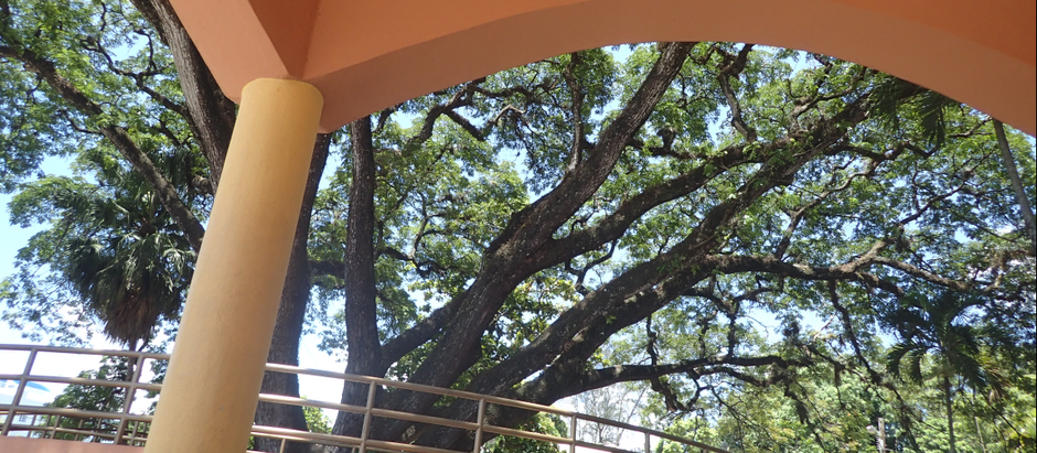 The Spirit at our Center