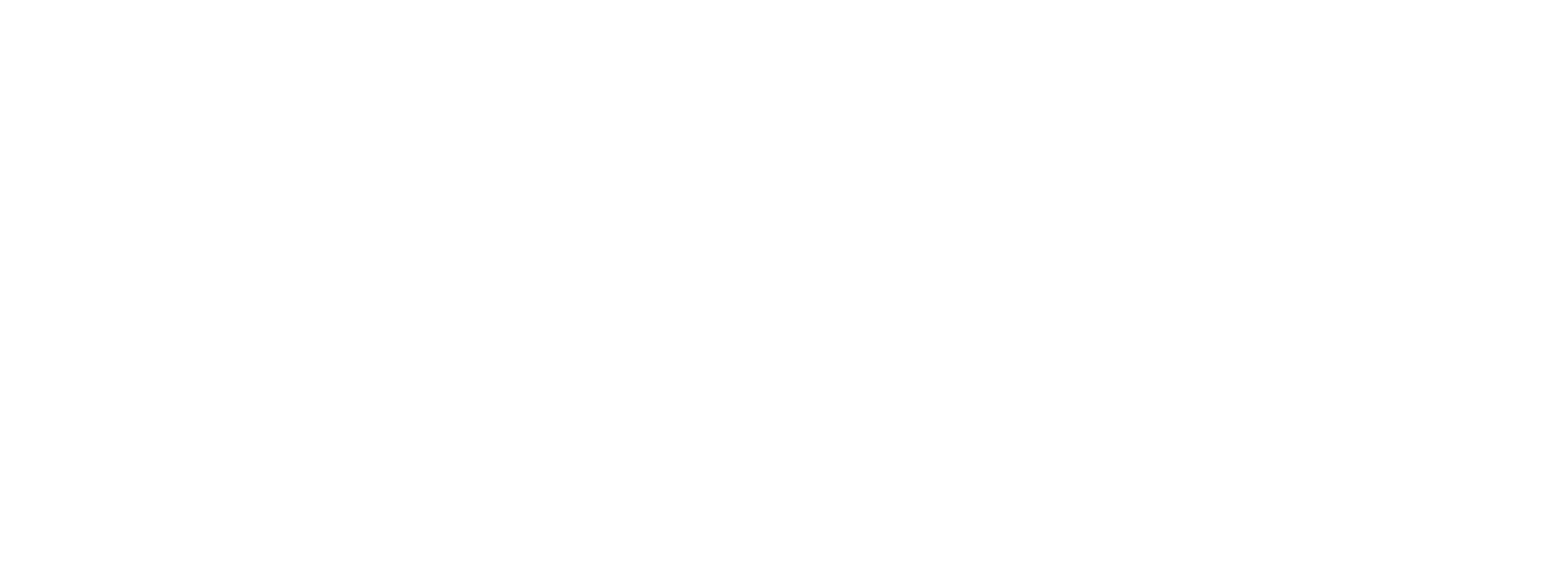Black-Forest-Fox_Logo-quer_ws.png