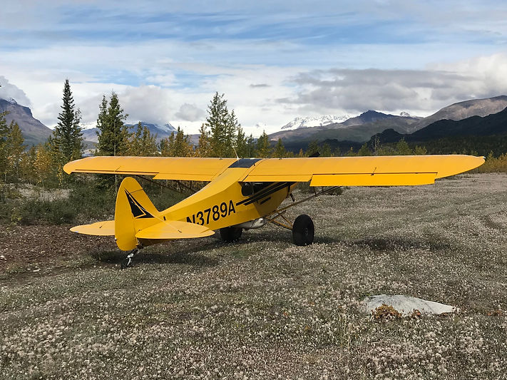 Cub at P Strip (1).jpeg