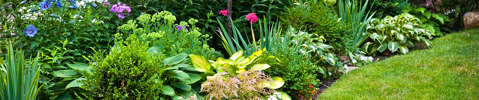 Biovert Jardins_entretien de jardin.png
