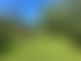 Comment réussir la rénovation de sa pelouse au printemps dans les Yvelines (78) ?