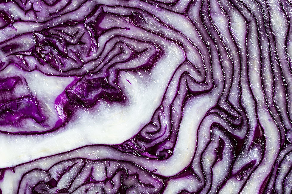 A close-up of a cut-open red cabbage, which is used to dye Easter eggs.