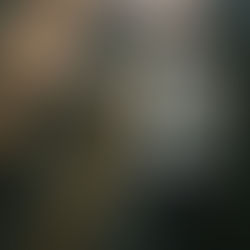 Jaeger-LeCoultre: The Art of Fine Watchmaking