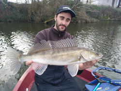 81fa7de1-e52f-4de7-a78f-0f7528ec9688