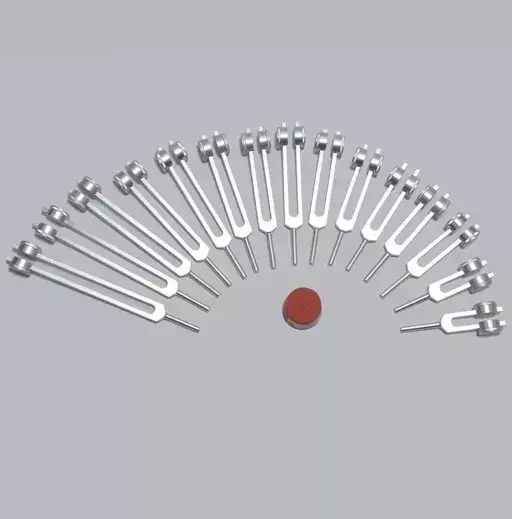 15 Weighted Human Organ Healing Tuning forks for Sound Therapy + Free Activator