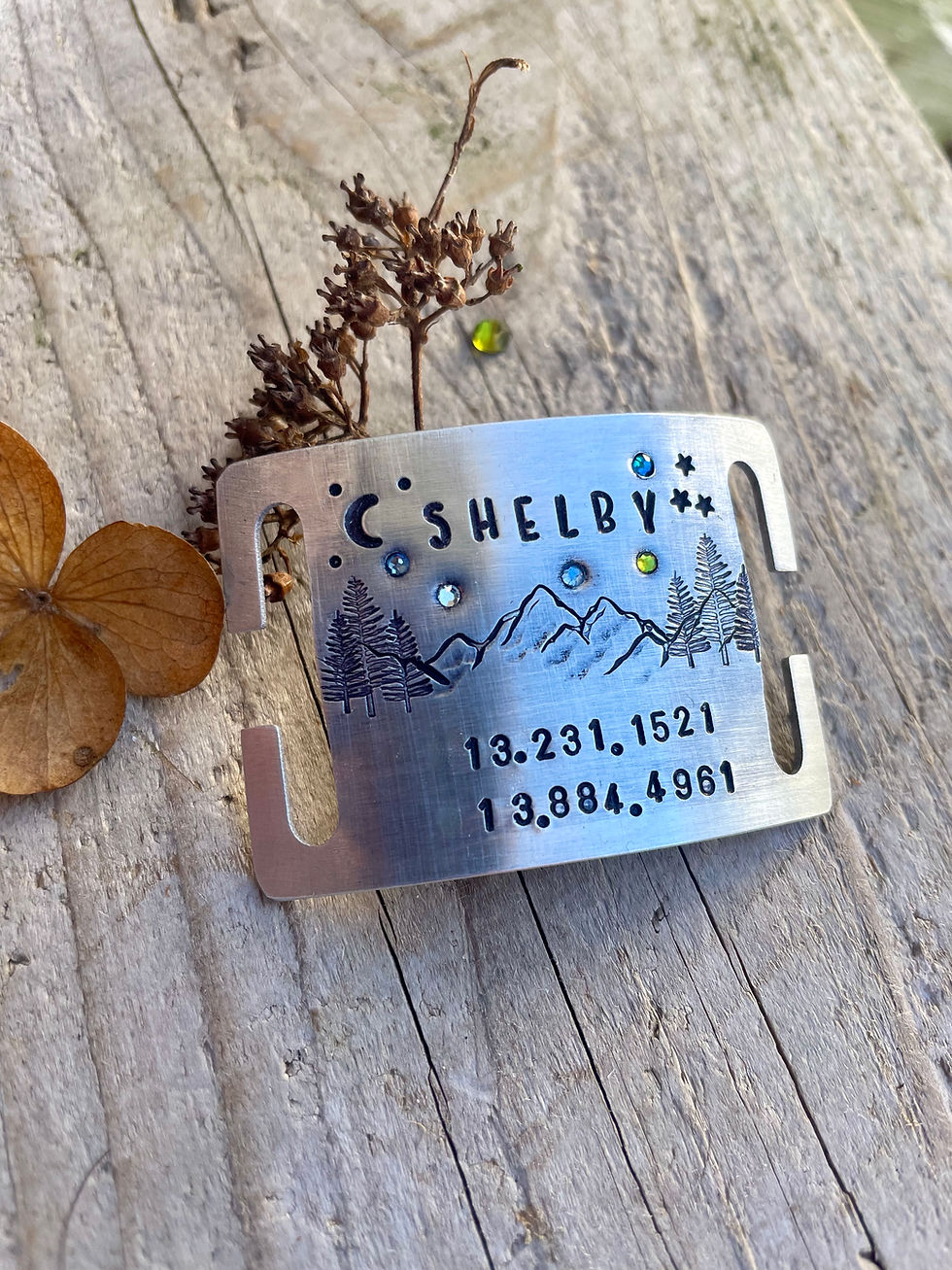 Thumbnail: Crystal Mountain --  Brass Quiet Slide ID Tag for 1" Collars